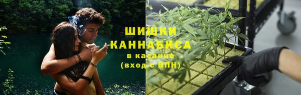молекула духа Богданович