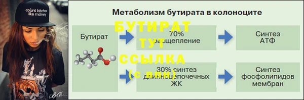 молекула духа Богданович