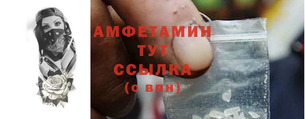 молекула духа Богданович