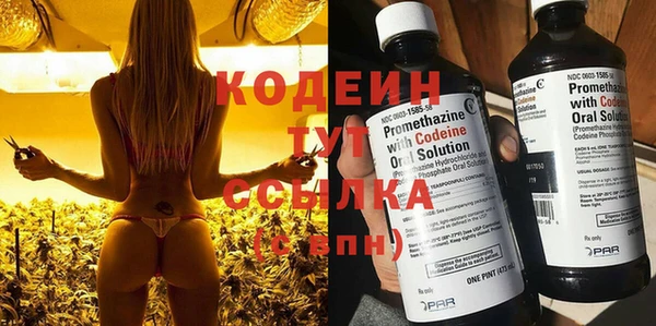 молекула духа Богданович
