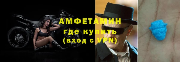 молекула духа Богданович