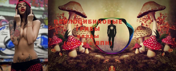 экстази Богородск