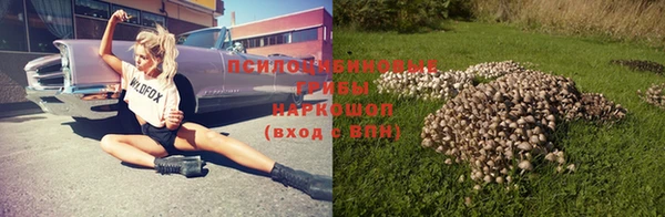 экстази Богородск