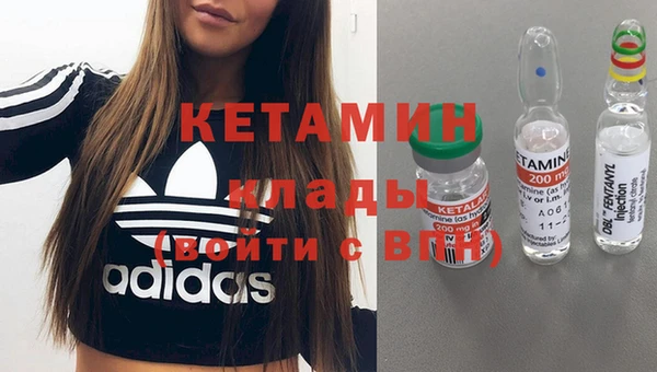 молекула духа Богданович