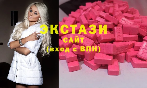 молекула духа Богданович